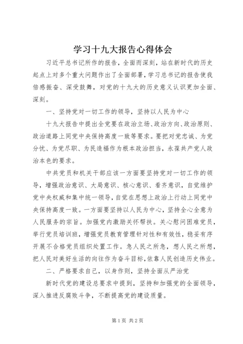 学习十九大报告心得体会 (19).docx