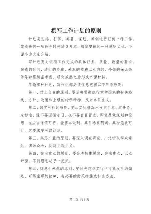 撰写工作计划的原则.docx