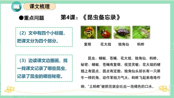 统编版三年级语文下册同步高效课堂系列第一单元（复习课件）