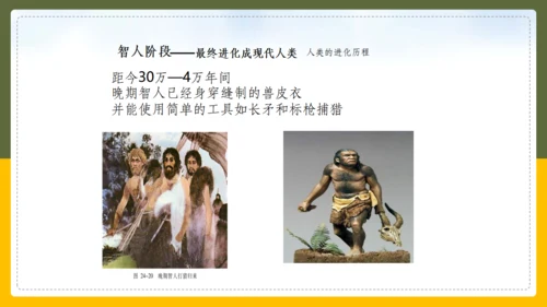 人类的起源和进化生物课通用PPT课件