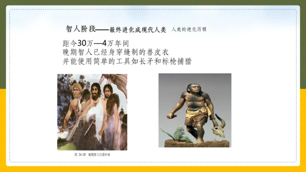 人类的起源和进化生物课通用PPT课件