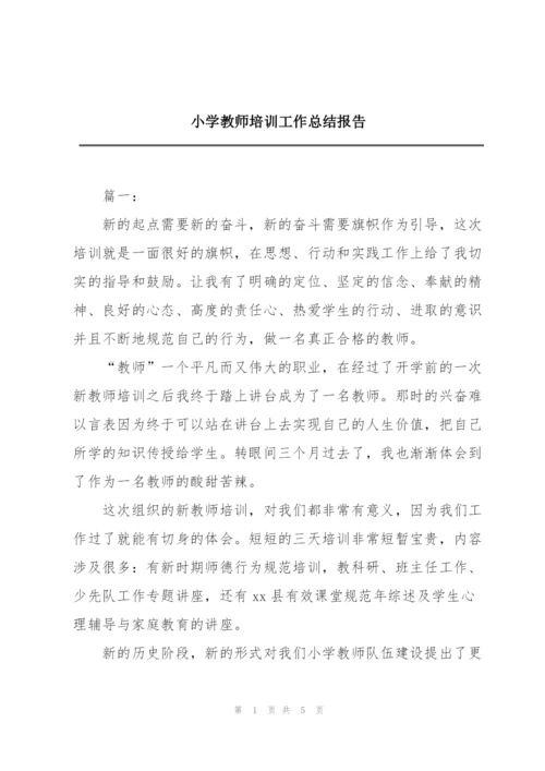 小学教师培训工作总结报告.docx