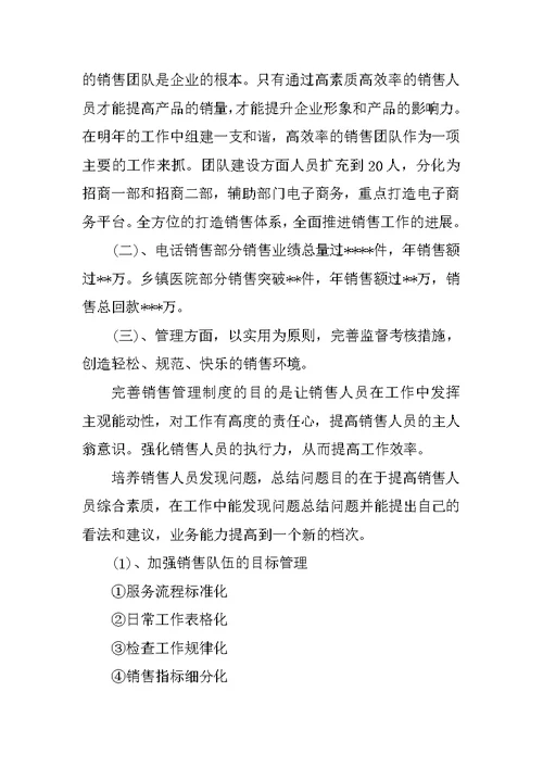 年终销售经理总结报告