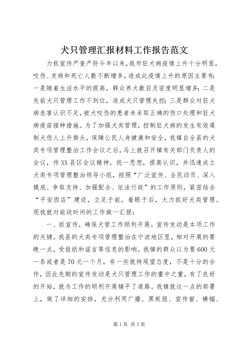 犬只管理汇报材料工作报告范文.docx