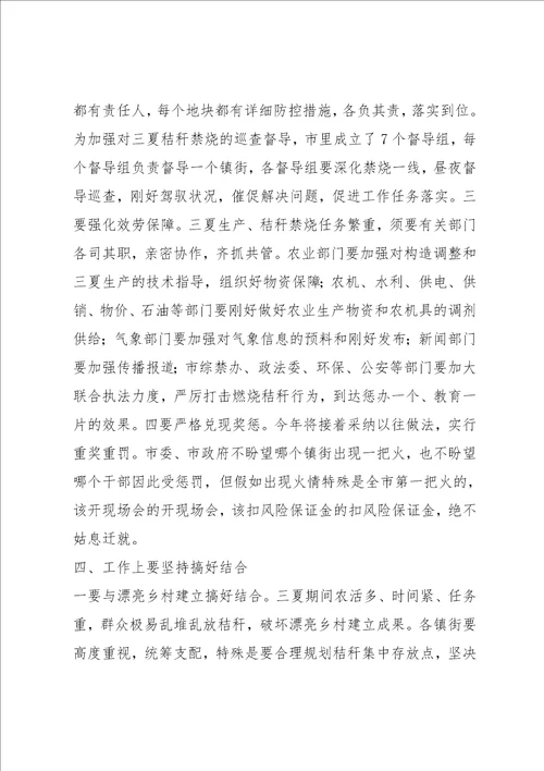 在全市三夏生产暨秸秆禁烧工作会议上的讲话