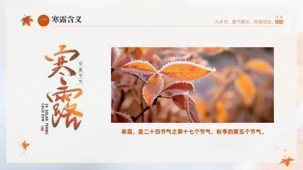 白色淡雅实拍风中国传统节气寒露节气介绍PPT
