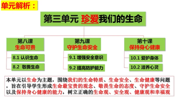 第三单元 珍爱我们的生命【核心考点复习课件】(共24张PPT)