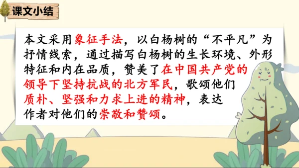 15 白杨礼赞 课件