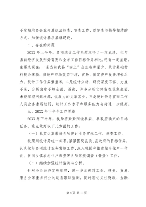 统计局上半年工作总结及下半年工作计划.docx