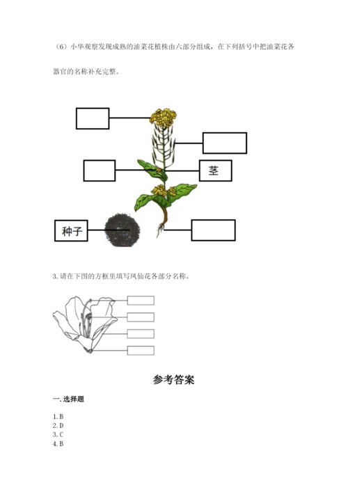 科学四年级下册第一单元植物的生长变化测试卷【达标题】.docx