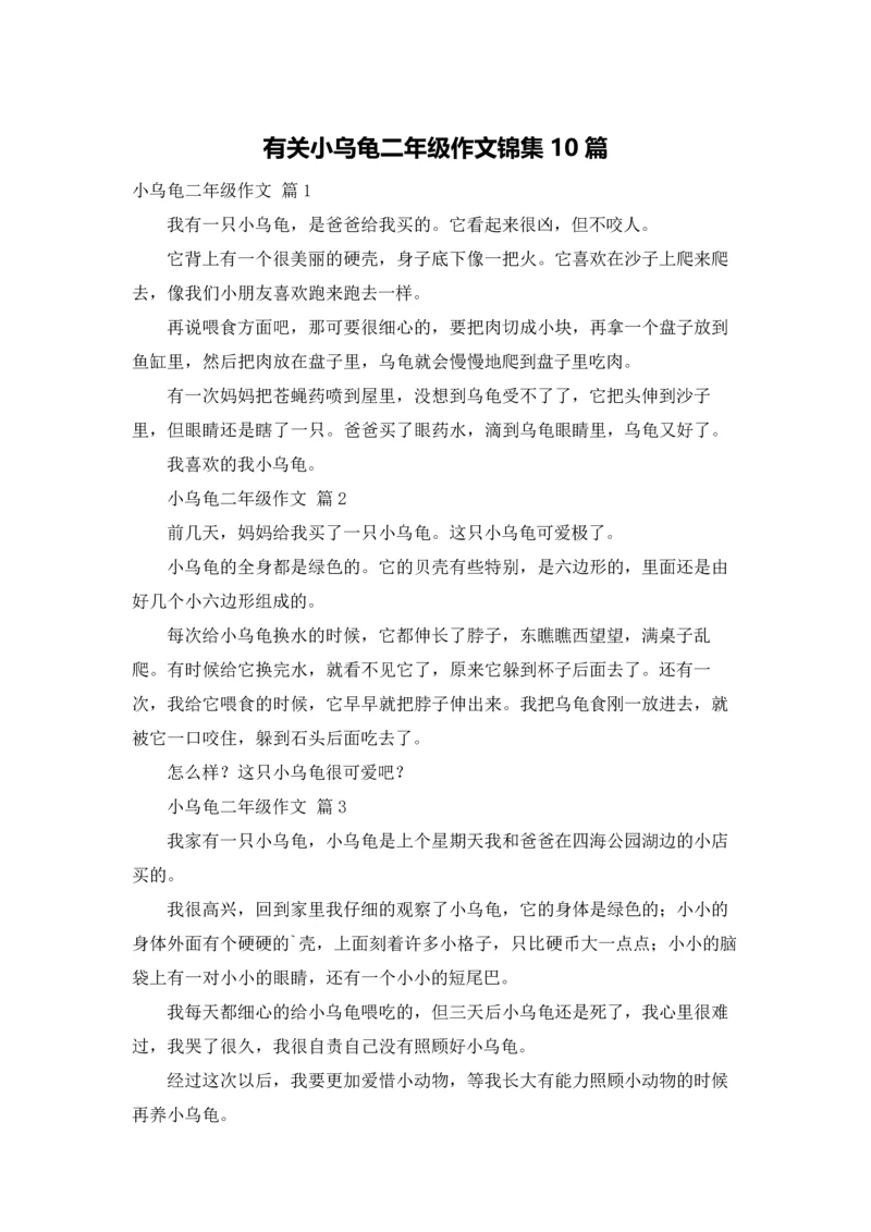 有关小乌龟二年级作文锦集10篇.docx