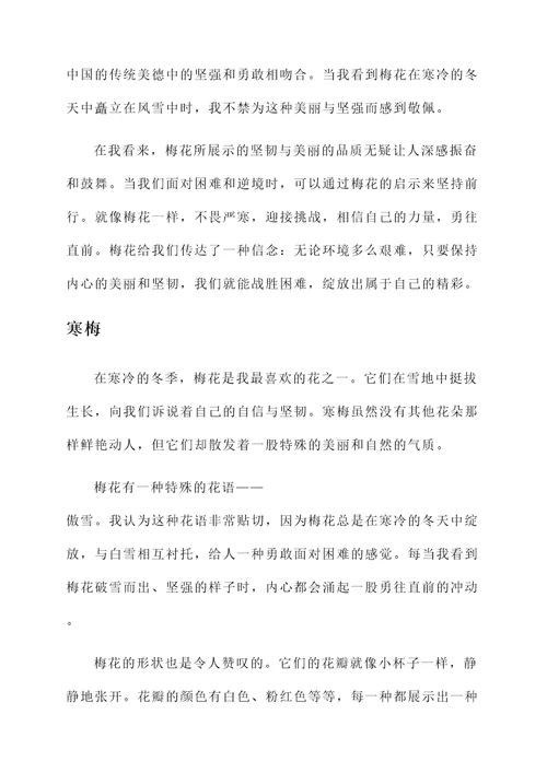 看了梅花的感想
