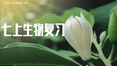 七上第一单元 生物和生物圈复习课件(共26张PPT)