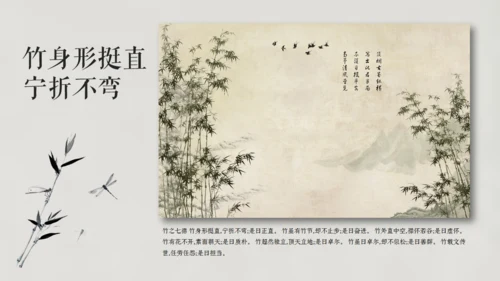 清雅文竹韵中国风通用PPT模板