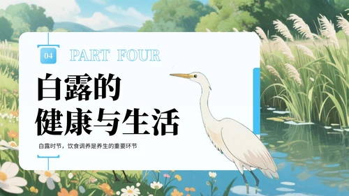 蓝绿色中国风白露节气知识宣传PPT
