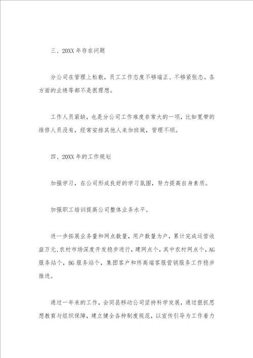 分公司年度总结报告
