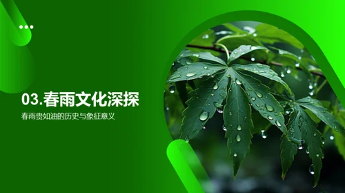 谷雨文化与文学解读