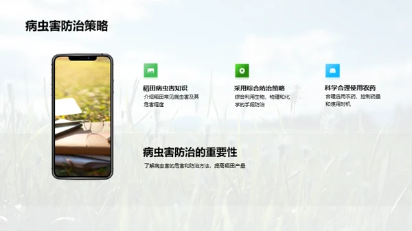 稻田科学种植