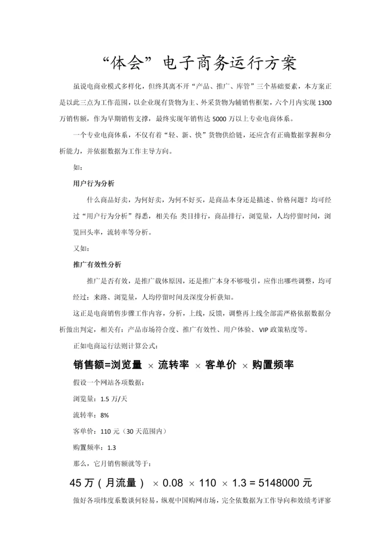 传统企业之电子商务运营专项方案.docx