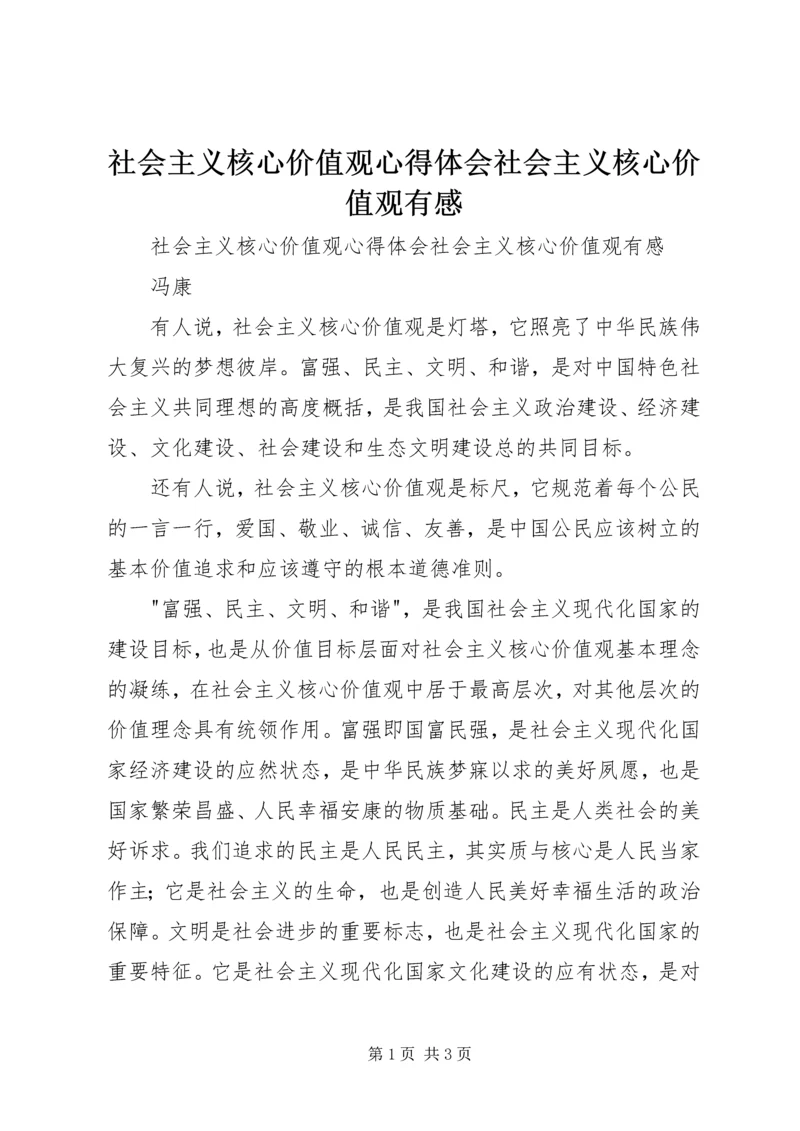 社会主义核心价值观心得体会社会主义核心价值观有感 (2).docx