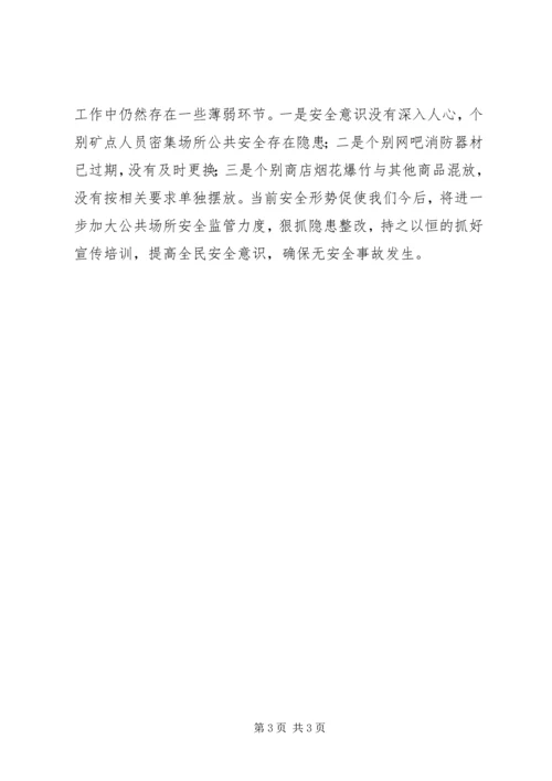 乡镇年度公共场所安全工作总结.docx