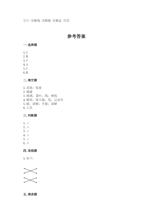 教科版一年级下册科学期末测试卷【基础题】.docx