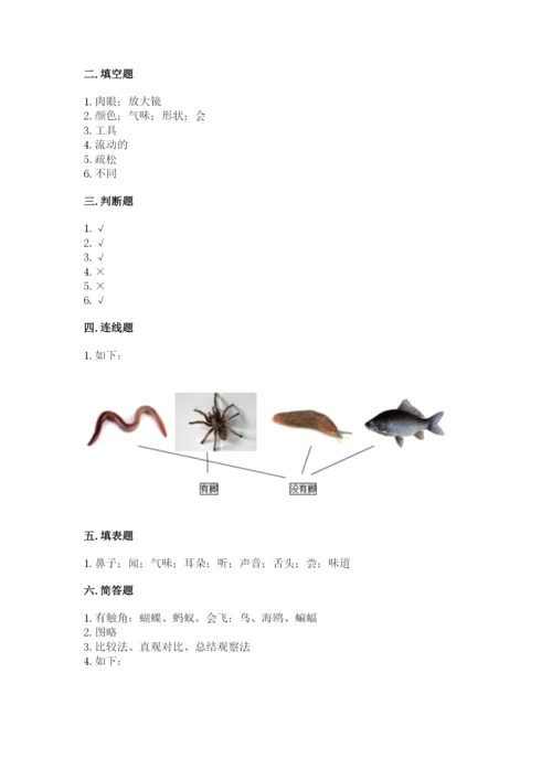 教科版小学科学一年级下册期末测试卷【培优b卷】.docx