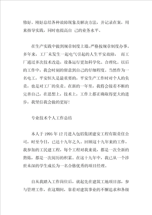 专业技术个人工作总结大全