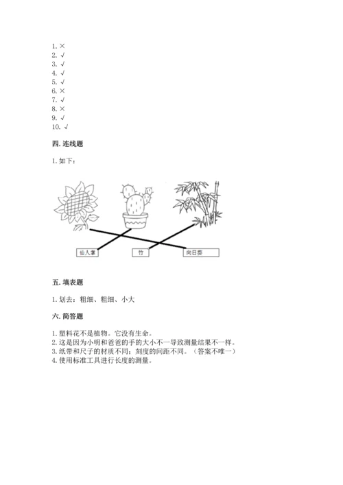 教科版一年级上册科学期末测试卷含解析答案.docx