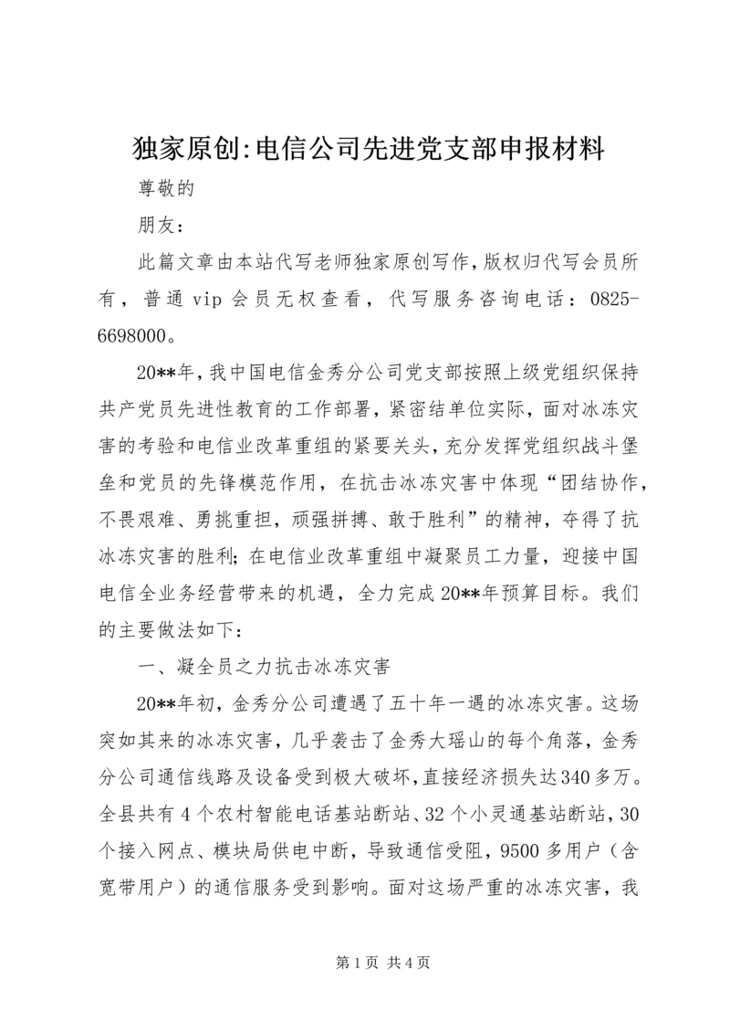 独家原创-电信公司先进党支部申报材料 (2).docx