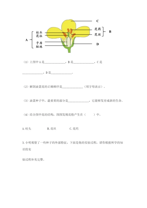 教科版科学四年级下册第一单元《植物的生长变化》测试卷【典优】.docx