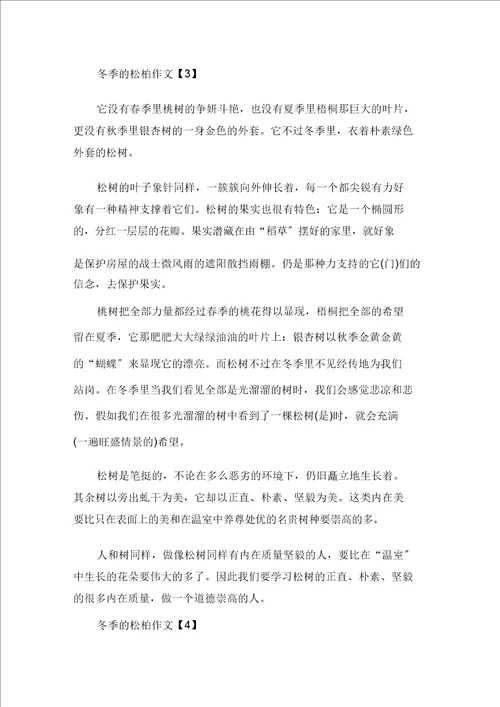 以松柏树为话题作文600字五篇精选