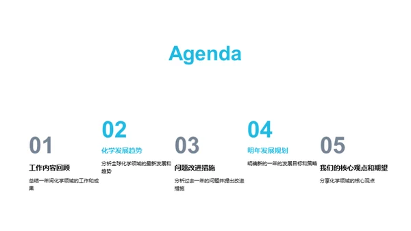 化学先锋：年度透视