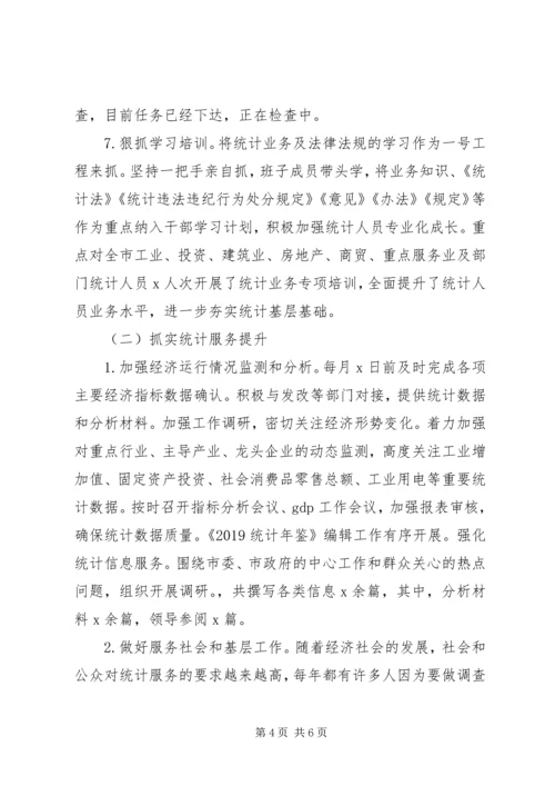 统计局XX年工作总结及XX年工作安排 (2).docx