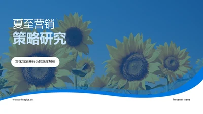 夏至营销策略研究