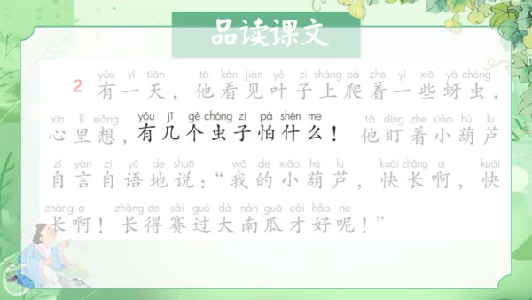 14.《我要的是葫芦》第2课时 课件