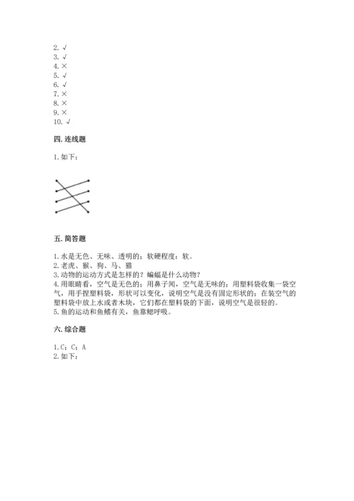教科版一年级下册科学期末测试卷及参考答案（考试直接用）.docx