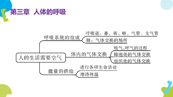 （人教七下复习）第一到三章复习