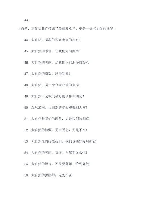 赞美大自然风光的标语