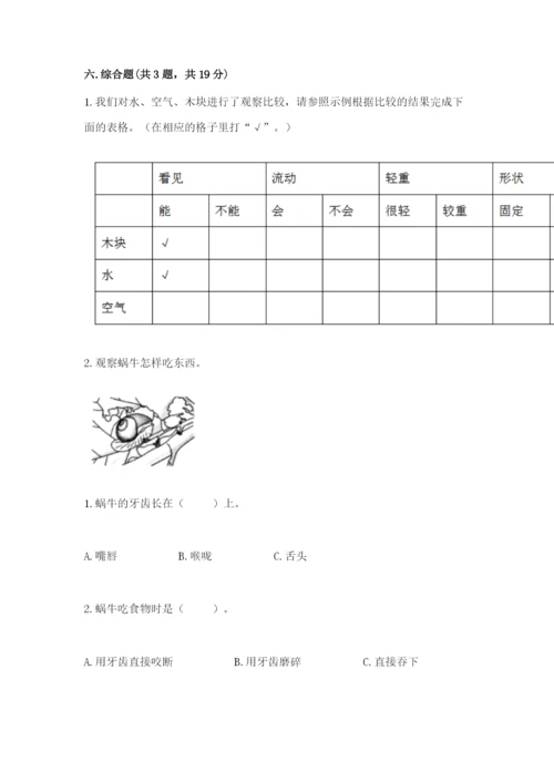 教科版一年级下册科学期末测试卷及参考答案【综合卷】.docx
