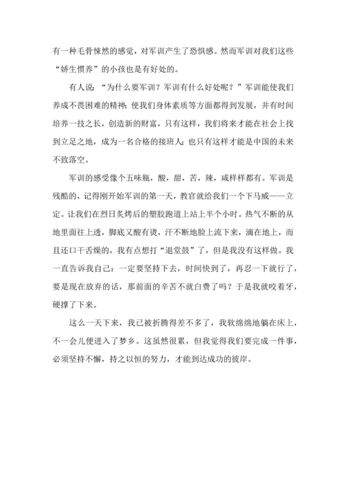 初中军训心得体会汇总六篇（一）.docx