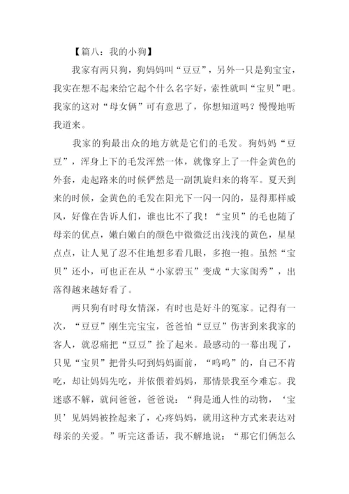 我的小狗作文600字.docx