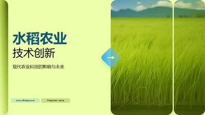 水稻农业技术创新