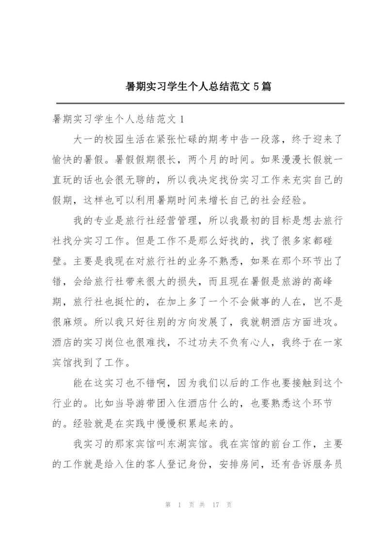 暑期实习学生个人总结范文5篇.docx