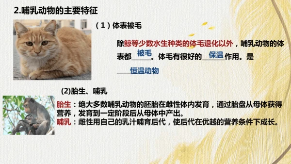 人教版 初中生物七年级上册2.2.2脊椎动物（鸟和哺乳动物）课件(共24张PPT)+ 视频素材