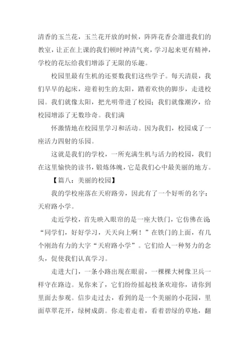 关于校园的作文800字.docx