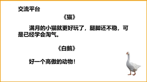 统编版四年级语文下册同步精品课堂系列语文园地四（教学课件）