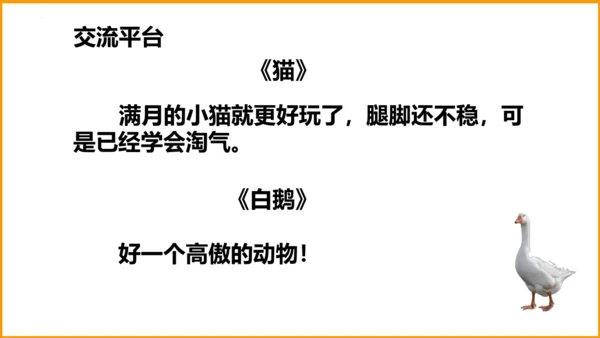 统编版四年级语文下册同步精品课堂系列语文园地四（教学课件）