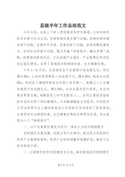 县级半年工作总结范文.docx