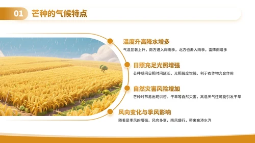 黄色3D卡通芒种节气课堂上的自然与农耕文化PPT模板
